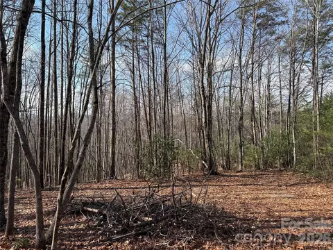 227 Deer Run #227, Purlear, NC 28665 photo 4