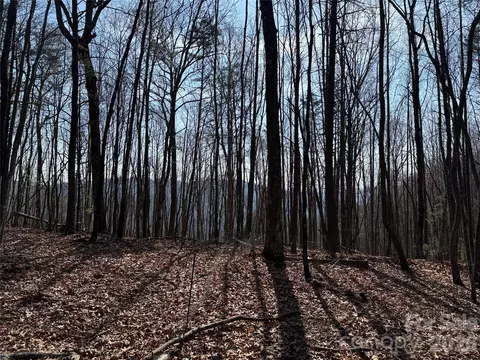 227 Deer Run #227, Purlear, NC 28665 photo 2