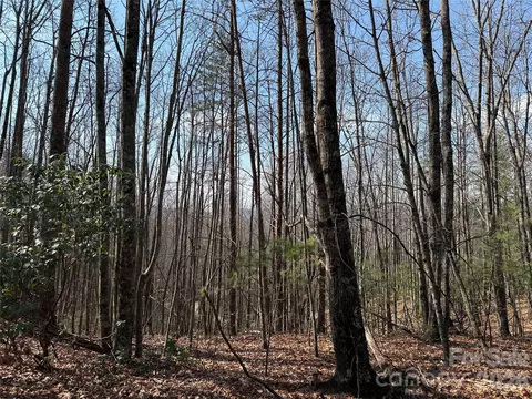 227 Deer Run #227, Purlear, NC 28665 photo 6