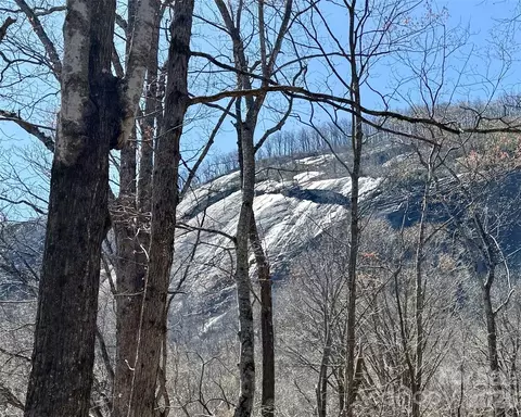 Swallow Lane, Lake Lure, NC 28746