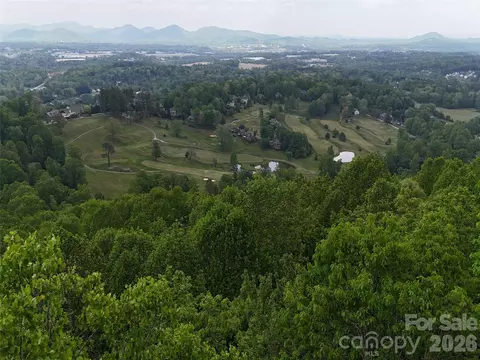 Honey Locust Drive, Mills River, NC 28759