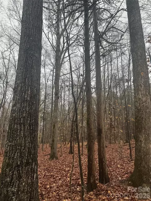 8223 Walkup Rd, Waxhaw, NC 28173