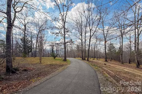 117 N Boundary Rd, Mill Spring, NC 28756 photo 8