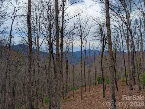 51 Wild Turkey 32 Loop #32, Marshall, NC 28753