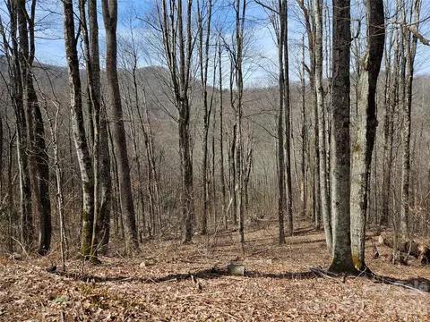 000 Forbidden Cv, Waynesville, NC 28785