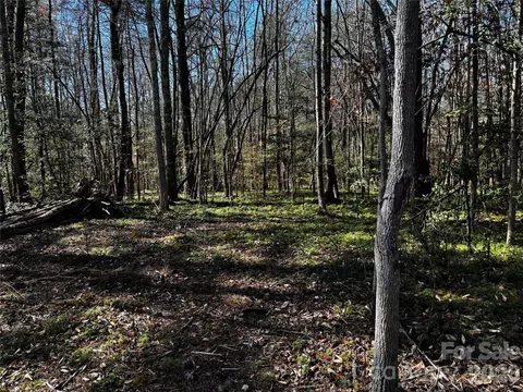 1467 Graycrest Dr, Catawba, NC 28609 photo 8