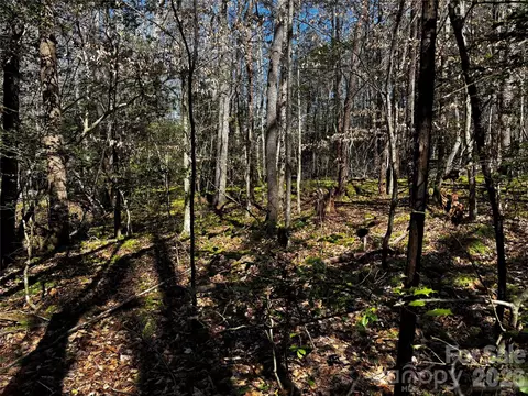 1467 Graycrest Dr, Catawba, NC 28609 photo 11