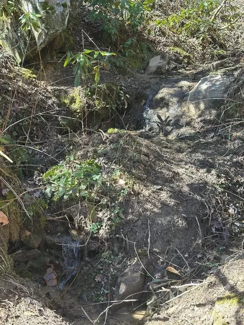 Other - 12 Chigger Ridge Rd, Sylva, NC 28779 photo 3 of 17