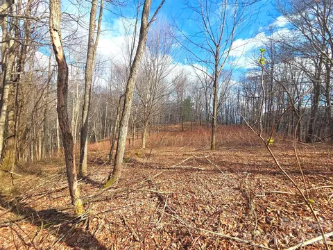 250 Rome Beauty Tr5 Rd #TR5, Waynesville, NC 28785