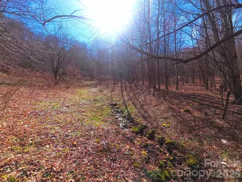 250 Rome Beauty Tr5 Rd #TR5, Waynesville, NC 28785
