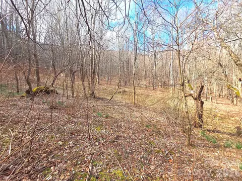 250 Rome Beauty Tr5 Rd #TR5, Waynesville, NC 28785