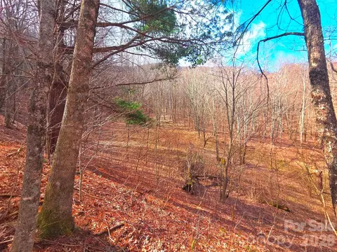 250 Rome Beauty Tr5 Rd #TR5, Waynesville, NC 28785