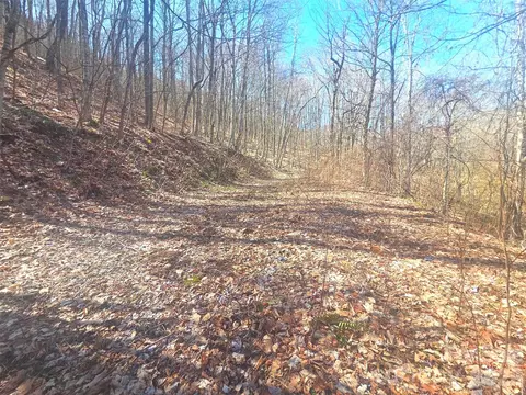 1200 Chestnut Flats 138 Ln #138, Waynesville, NC 28786
