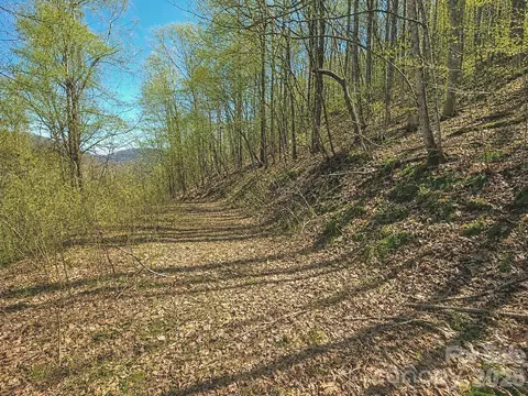 1200 Chestnut Flats 138 Ln #138, Waynesville, NC 28786