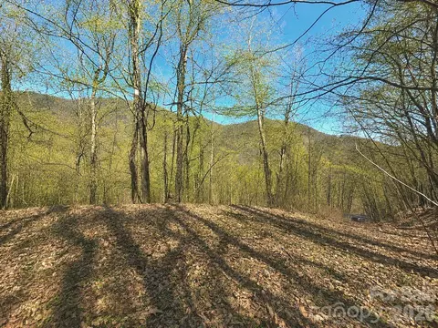 1200 Chestnut Flats 138 Ln #138, Waynesville, NC 28786