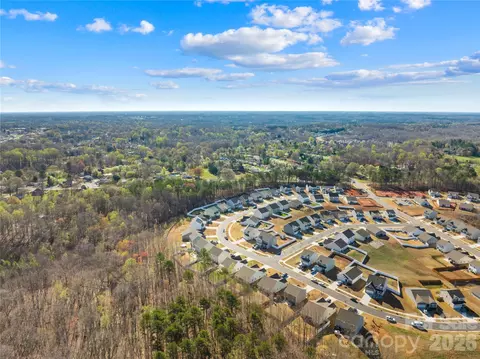 View/Area - 147 Tanner Loop, Troutman, NC 28166 photo 4 of 10