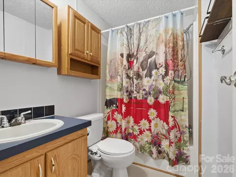 Bath - 959 Langley Dr, Chester, SC 29706 photo 5 of 5