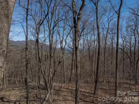 Weaverly Lane, Mill Spring, NC 28756 photo 14