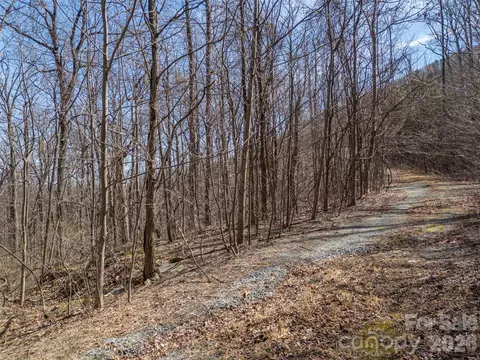 Weaverly Lane, Mill Spring, NC 28756 photo 22