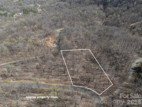 Weaverly Lane, Mill Spring, NC 28756 photo 2