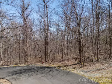 Weaverly Lane, Mill Spring, NC 28756 photo 4
