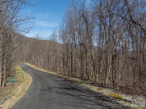 Weaverly Lane, Mill Spring, NC 28756 photo 7