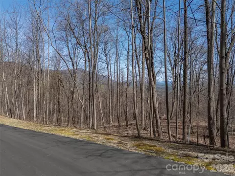Weaverly Lane, Mill Spring, NC 28756 photo 9