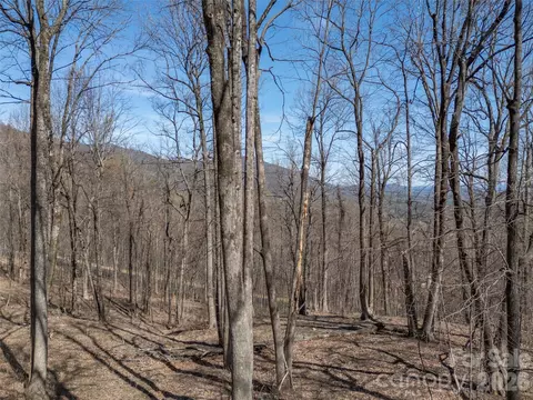 Weaverly Lane, Mill Spring, NC 28756 photo 12