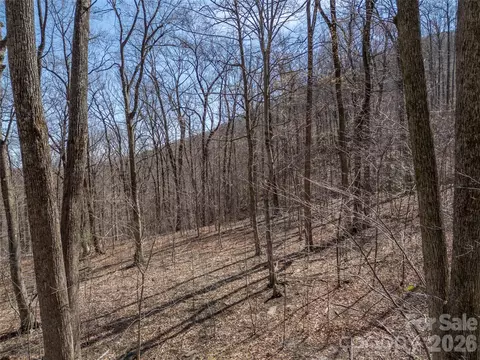 Weaverly Lane, Mill Spring, NC 28756 photo 10
