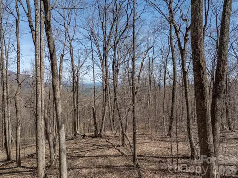Weaverly Lane, Mill Spring, NC 28756 photo 11