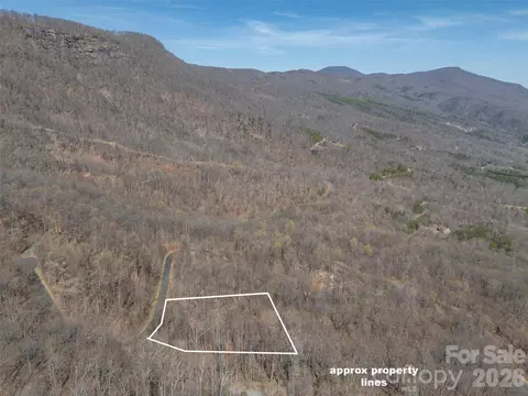 Weaverly Lane, Mill Spring, NC 28756 photo 3