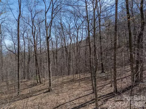 Weaverly Lane, Mill Spring, NC 28756 photo 13