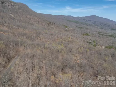 Weaverly Lane, Mill Spring, NC 28756 photo 19