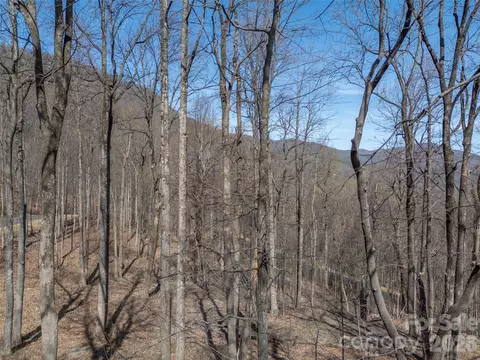 Weaverly Lane, Mill Spring, NC 28756 photo 16