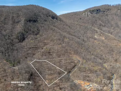 Weaverly Lane, Mill Spring, NC 28756