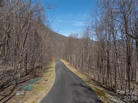 Weaverly Lane, Mill Spring, NC 28756 photo 8