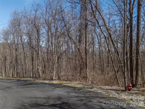 Weaverly Lane, Mill Spring, NC 28756 photo 6
