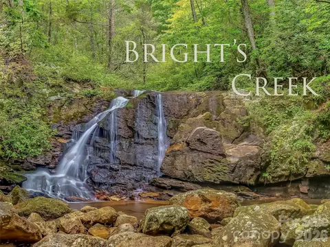 Weaverly Lane, Mill Spring, NC 28756 photo 23