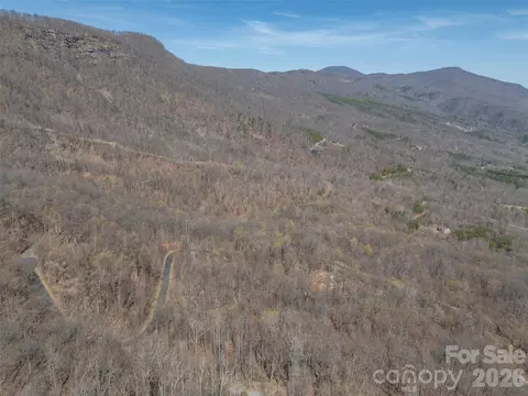 Weaverly Lane, Mill Spring, NC 28756 photo 17