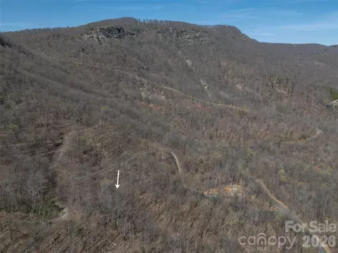 Weaverly Lane, Mill Spring, NC 28756 photo 18