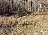 108 Lanning Rd, Clyde, NC 28721 photo 6