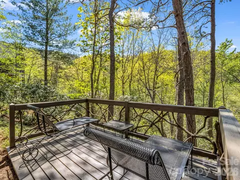 Exterior - 16 Panther Gap Rd, Black Mountain, NC 28711 photo 5 of 8