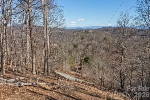 99999 Anderson Br, Marshall, NC 28753