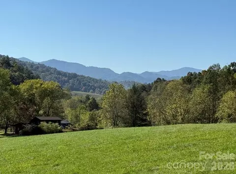 00000 Worley Cove Rd, Canton, NC 28716