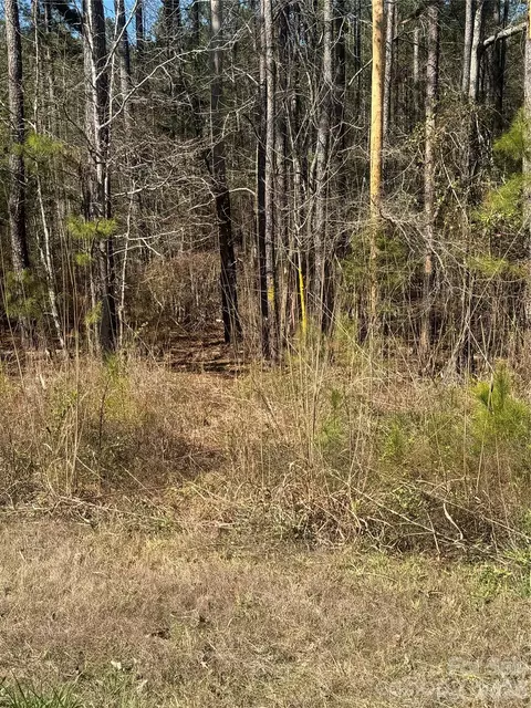1802 Goings Rd, Chester, SC 29706 photo 3