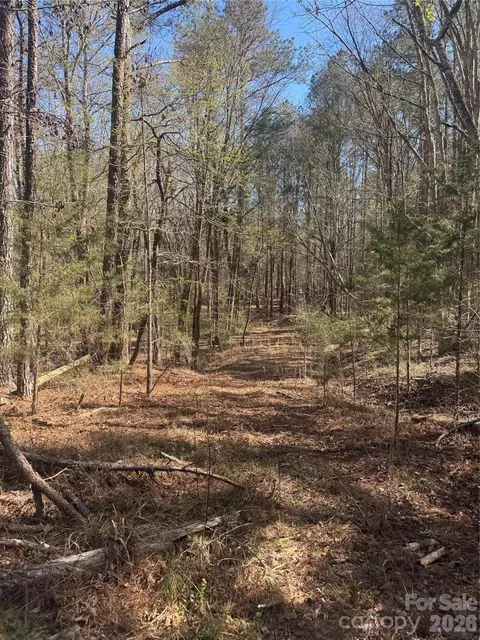 1802 Goings Rd, Chester, SC 29706 photo 15