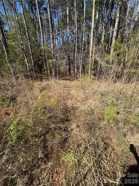 1802 Goings Rd, Chester, SC 29706 photo 18