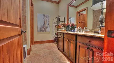 Bath - 538 Chestertown Dr, Mill Spring, NC 28756 photo 3 of 8