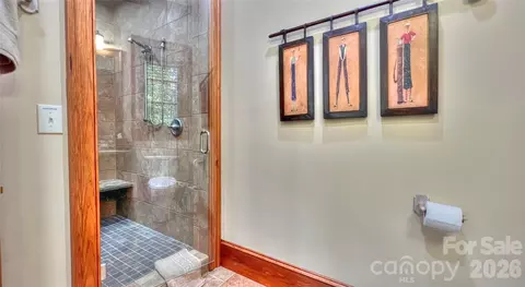 Bath - 538 Chestertown Dr, Mill Spring, NC 28756 photo 6 of 8