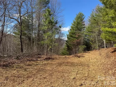 270 Anielee Ln, Clyde, NC 28721 photo 27